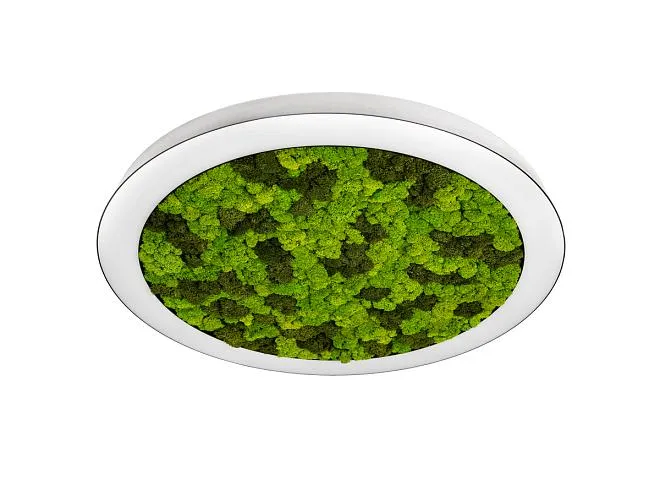 Накладной светодиодный светильник, 72Ватт, D-800мм. Donolux dl800c72ww moss white Aura Moss Накладной светодиодный светильник, 72Ватт, D-800мм. Donolux dl800c72ww moss white Aura Moss