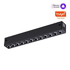 Трековый светильник диммируемый , пульт ДУ/Tuya Smart Life IP20 LED 10W 3000-6000K Novotech 359931 VECTOR