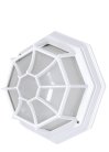 Настенный светильник уличный Oasis Light 10838 W SIDNEY