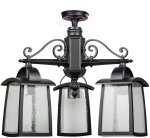 Потолочный светильник уличный Oasis Light 27370A 3 02 Bl FRANKFURT I