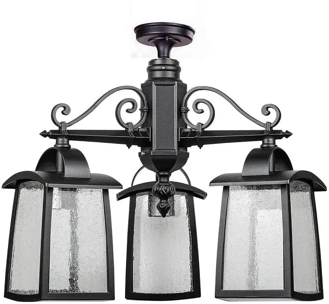 Потолочный светильник уличный Oasis Light 27370A 3 02 Bl FRANKFURT I