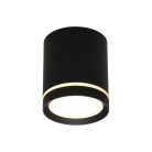 Настенно-потолочный светильник Omnilux OML-102439-05 Capurso