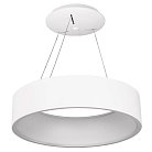 Подвесной светильник Arlight 022147(1) SP-Tor-Ring-Hang-R460-33W Day4000 TOR RING