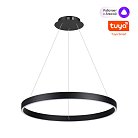 Светильник подвесной Smart Life IP20 LED 50/12W 85-265V 3000-6000К  Novotech 359450 SOTTO