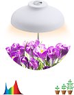 Светильник для растений ЭРА FITO-12W-FLED