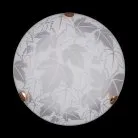 Настенно-потолочный светильник Sneha Листопад мат (300) НПБ 01-2х60-001