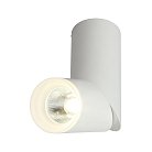 Светильник встраиваемый-накладной Omnilux OML-100209-10 Ultimo