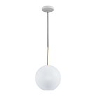 Подвесной светильник Loft IT 2030-P1 Bolle