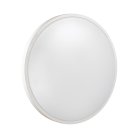 Настенно-потолочный светильник Sonex 3014/DL Smalli