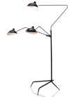 Торшер L'Arte Luce L05644 Spider