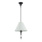 Подвес ODEON LIGHT 4896/1 Sochi