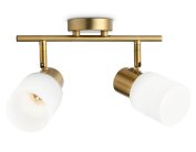 Настенно-потолочный спот Ambrella light TR3969/2 BS/FR