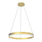 Люстра подвесная Lightstar 736402 Rotonda