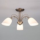 Потолочная люстра Eurosvet 30107/3 Stefanie 00000078346