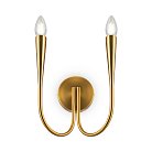 Настенный светильник (бра) Freya FR5253WL-02BS BRANCHES