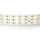 Лента теплого белого свечения 24V Lightstar 423003