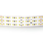 Лента теплого белого свечения 24V Lightstar 423003