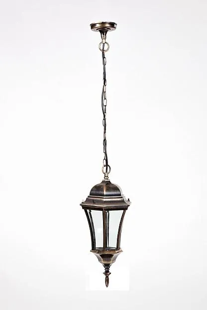 Уличный светильник подвесной Oasis Light 91305L cover Gb ASTORIA 1 L
