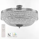 Потолочная люстра Bohemia 19011/55IV/LED-DIM Ni