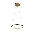 Подвесной светильник Loft IT 10014S Ring