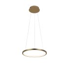 Подвесной светильник Loft IT 10014S Ring