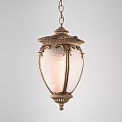 Уличный подвесной светильник Elektrostandard GLYF-8024H Andromeda H черное золото a027997