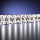 Светодиодная лента Led Strip Maytoni 201228 Гибкая светодиодная лента