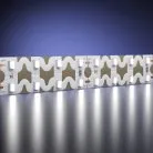 Светодиодная лента Led Strip Maytoni 201228 Гибкая светодиодная лента