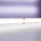 Светодиодная лента Maytoni Led Strip 10184