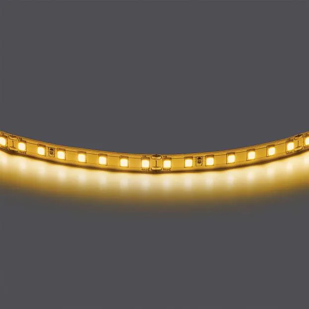 Светодиодная лента 5 м Lightstar 420843 Светодиодная лента 5 м Lightstar 420843