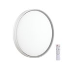 Настенно-потолочный светильник SONEX 7631/DL SAVI