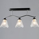 Потолочная люстра Reluce 77320-0.3-03 CH+BK