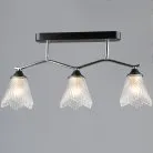 Потолочная люстра Reluce 77320-0.3-03 CH+BK