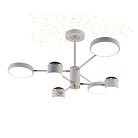 Потолочная люстра Escada 10255/6LED Interstellar