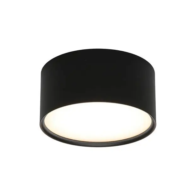 Потолочный светильник Omnilux OML-103319-12 Abano Потолочный светильник Omnilux OML-103319-12 Abano