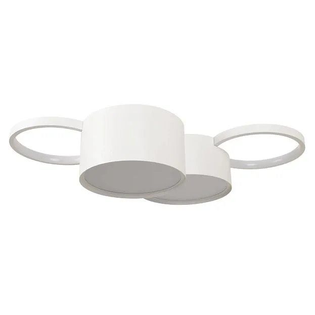 Потолочный светильник Loft IT 10317/4 White Pin