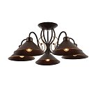 Светильник потолочный Evoluce SLE120402-05 CIOLLA