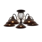 Светильник потолочный Evoluce SLE120402-05 CIOLLA