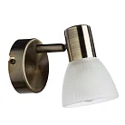 Спот Arte Lamp A5062AP-1AB PARRY