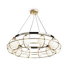 Подвесной светильник Maytoni MOD312PL-10GCH Carcass