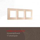 Рамка из поликарбоната на 3 поста Arte Milano 517.17-3.shampan am