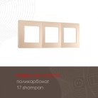 Рамка из поликарбоната на 3 поста Arte Milano 517.17-3.shampan am
