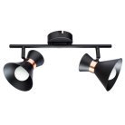 Спот Arte Lamp A1406AP-2BK BALTIMORE