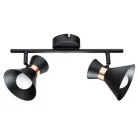 Спот Arte Lamp A1406AP-2BK BALTIMORE