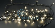 Гирлянда Rich LED RL-S10CF-24V-B/WW