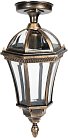 Потолочный светильник уличный Oasis Light 95205SA Gb ROMA S