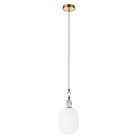 Подвесной светильник Loft IT 10365/F Family