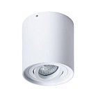 Светильник Потолочный Arte Lamp A5645PL-1WH FALCON