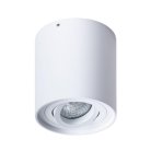 Светильник Потолочный Arte Lamp A5645PL-1WH FALCON