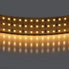 Лента теплого белого свечения 24V Lightstar 423003